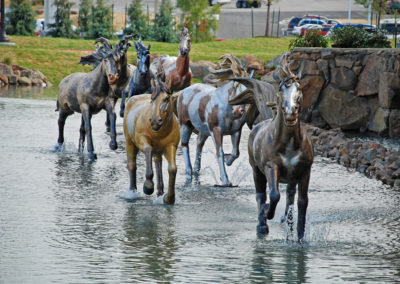 Panama City Commercial Pools with Horses